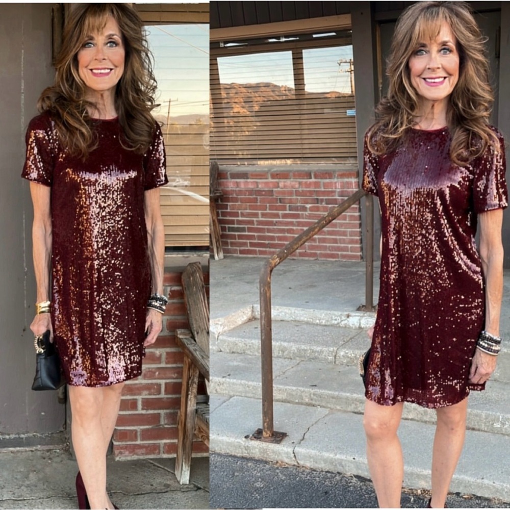 Abercrombie & Fitch burgundy sequin embellished short sleeve mini dress S NWT